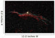 Ngc 6960 Western Veil Wall Decal