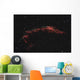 Ngc 6992 Eastern Veil Wall Decal