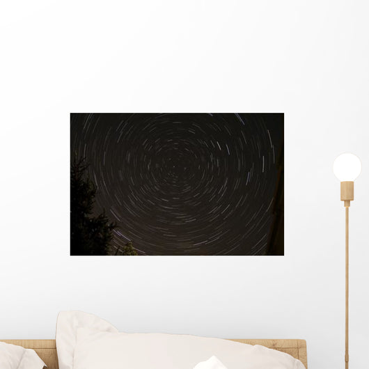 Star Trails around Polaris Wall Decal