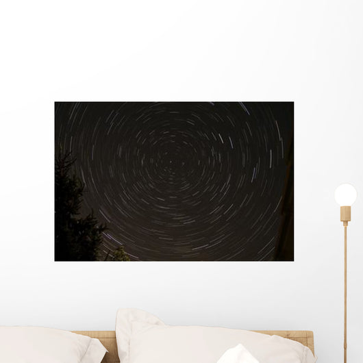 Star Trails around Polaris Wall Decal