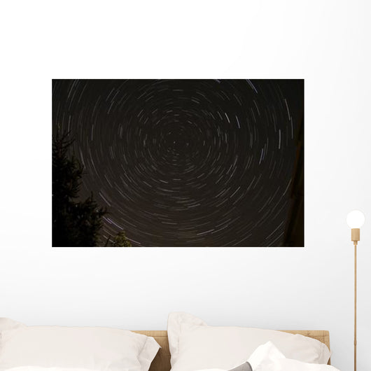 Star Trails around Polaris Wall Decal