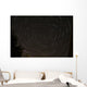 Star Trails around Polaris Wall Decal