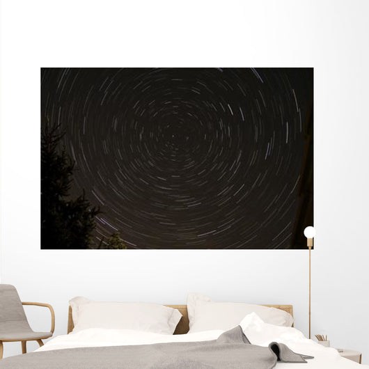 Star Trails around Polaris Wall Decal