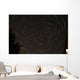 Star Trails around Polaris Wall Decal