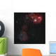 Widefield Simeis 147 Flaming Wall Decal