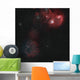 Widefield Simeis 147 Flaming Wall Decal