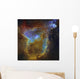 Ic 1805 Heart Nebula Wall Decal