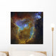 Ic 1805 Heart Nebula Wall Decal