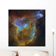 Ic 1805 Heart Nebula Wall Decal