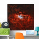 Eagle Nebula Constellation Serpens Wall Decal