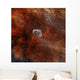 Crescent Nebula with Soap-bubble Wall Decal