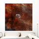 Crescent Nebula with Soap-bubble Wall Decal