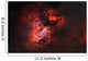 M17 Omega Nebula Wall Decal