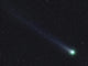 Comet Lovejoy Wall Decal