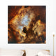 North America Nebula and Wall Decal