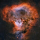 Ngc 7822 Emission Nebula Wall Decal