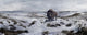 Bison Winter Landscape Wall Decal