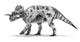 Centrosaurus Apertus Dinosaur Late Wall Decal
