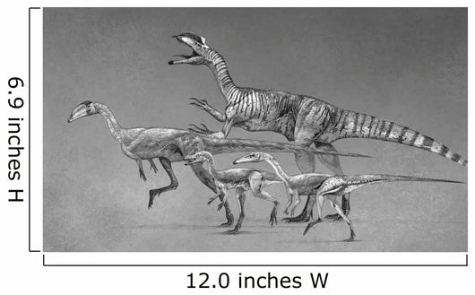 Coelophysoid Diversity from Late Wall Decal Design 2