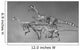 Coelophysoid Diversity from Late Wall Decal Design 2