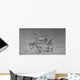 Coelophysoid Diversity from Late Wall Decal Design 1