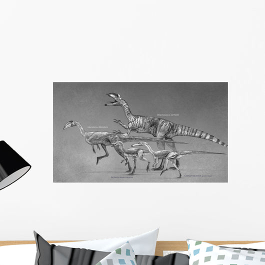 Coelophysoid Diversity from Late Wall Decal Design 1