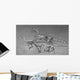 Coelophysoid Diversity from Late Wall Decal Design 1