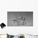 Coelophysoid Diversity from Late Wall Decal Design 1