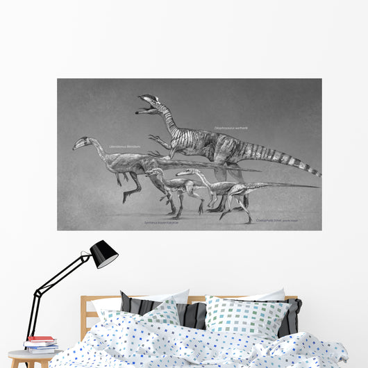 Coelophysoid Diversity from Late Wall Decal Design 1