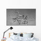 Coelophysoid Diversity from Late Wall Decal Design 1