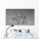 Coelophysoid Diversity from Late Wall Decal Design 1