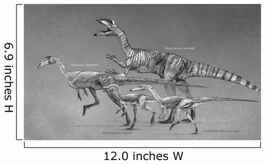 Coelophysoid Diversity from Late Wall Decal Design 1