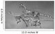 Coelophysoid Diversity from Late Wall Decal Design 1