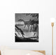 Concavenator Corcovatus Searching for Wall Decal