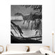 Concavenator Corcovatus Searching for Wall Decal
