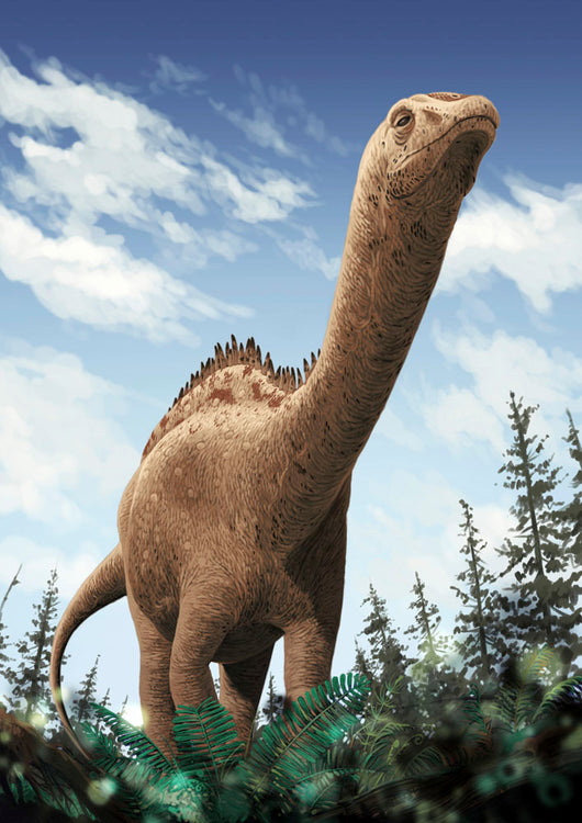 Demandasaurus Darwini Rebbachisaurid from Wall Decal