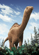 Demandasaurus Darwini Rebbachisaurid from Wall Decal