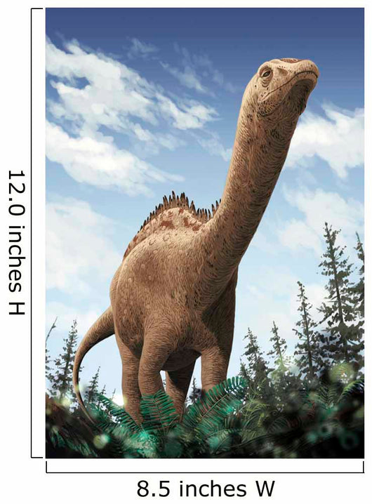 Demandasaurus Darwini Rebbachisaurid from Wall Decal