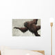 Hispanopithecus Laietanus from Spanish Wall Decal