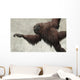 Hispanopithecus Laietanus from Spanish Wall Decal