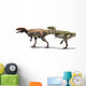 Body Size Comparison between Wall Decal