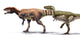 Body Size Comparison between Wall Decal