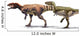 Body Size Comparison between Wall Decal