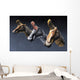 Nasal Pasages Lambeosaurus Lambei Wall Decal