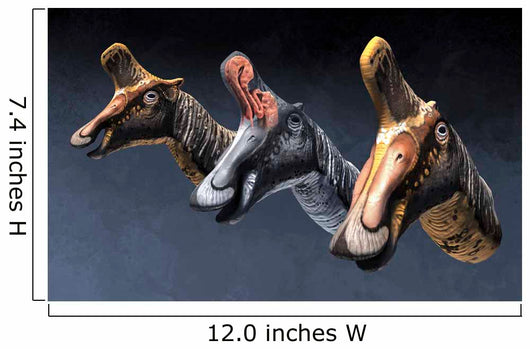 Nasal Pasages Lambeosaurus Lambei Wall Decal