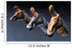Nasal Pasages Lambeosaurus Lambei Wall Decal