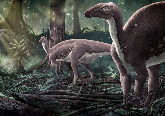 Mantellisaurus Atherfieldensis Dinosaurs Prehistoric Wall Decal