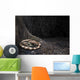 Mei Long Curls up Wall Decal