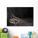 Mei Long Curls up Wall Decal
