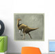 Nothronychus Mckinleyi Dinosaur Cretaceous Wall Decal